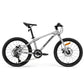 Rockbros bicycle model DARWIN I 20 inches Rockbros/Rowery Your Sports Performance