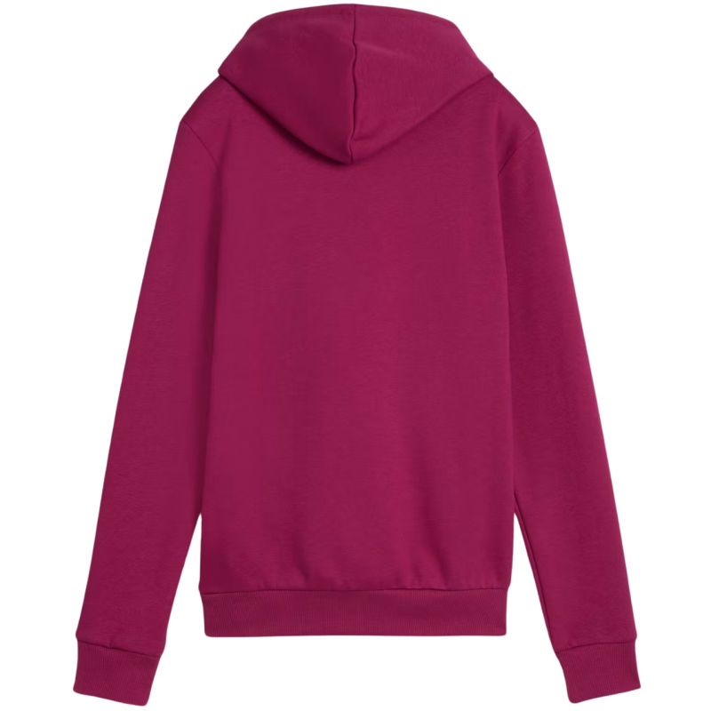 Puma ESS Logo Hoodie FL W 586789 52 Clothing/Training Puma