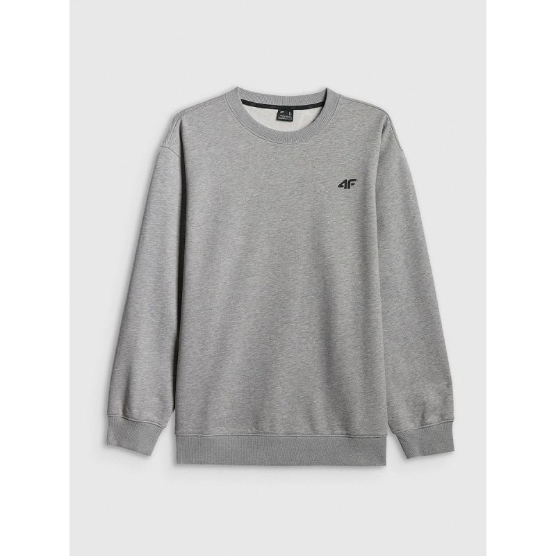 Men's regular sweatshirt without hood 4F 4FRMM00TSWSM3059-27M