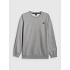 Men's regular sweatshirt without hood 4F 4FRMM00TSWSM3059-27M