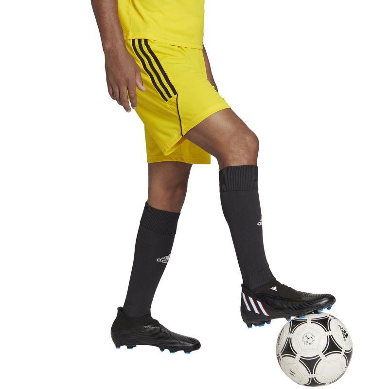 Shorts adidas Tiro 23 League M IB8085 Clothing/Football Adidas