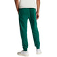 adidas Essentials Big Logo French Terry Pants M JE8971 Clothing/Lifestyle/Trousers, shorts Adidas