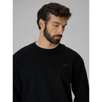 Men's regular sweatshirt without hood 4F 4FRMM00TSWSM3059-20S