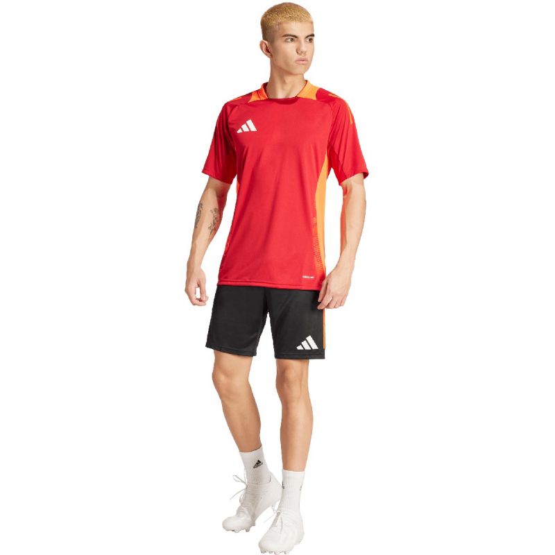 Adidas Tiro 24 Competition Training M shorts IR5484 Clothing/Football Adidas