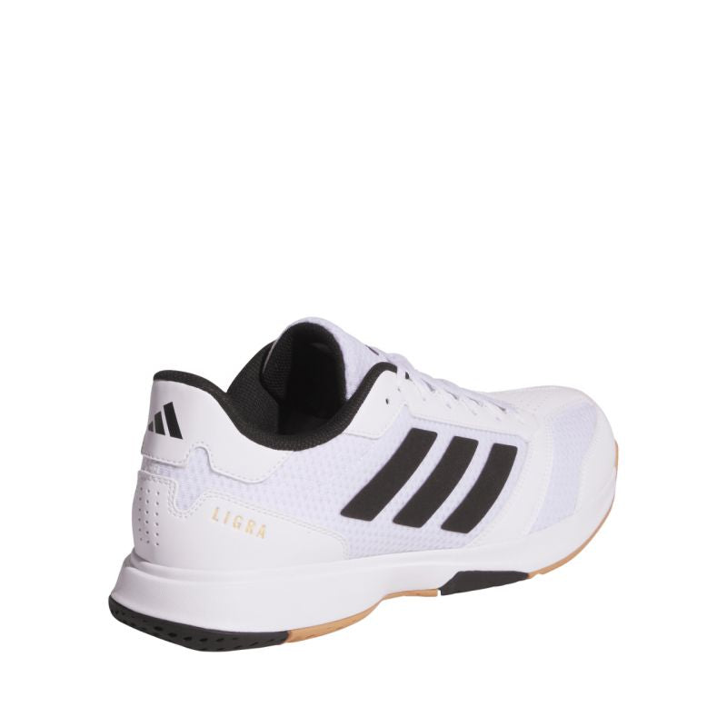 Handball shoes adidas Ligra 8 IN M JI1505 Footwear/Handball/Men Adidas