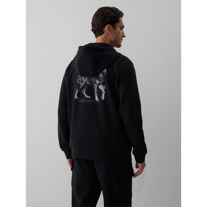 Men's regular hooded sweatshirt 4F 4FKAW26TSWSM3182-20S
