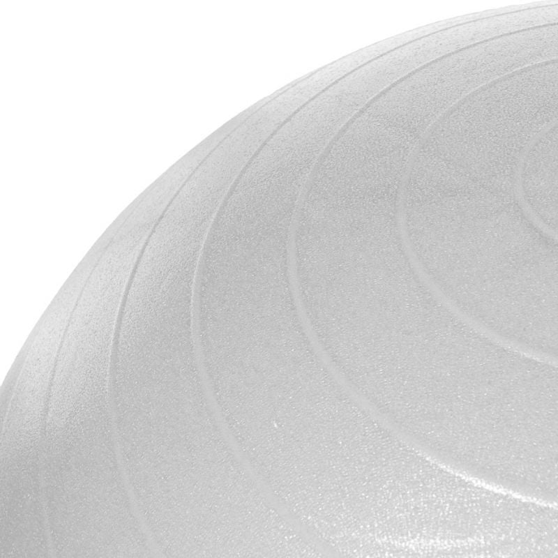 PROfit gym ball 55cm black with pump DK2102 Accessories/Training equipment Your Sports Performance