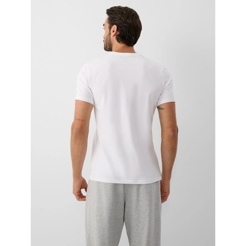 Men's slim T-shirt with print 4F 4FRAW26TTSHM4666-10S