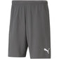 Puma teamRise Short M 704942 13 Clothing/Training Puma