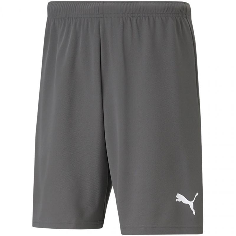 Puma teamRise Short M 704942 13 Clothing/Training Puma