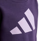 Kids' adidas Essentials Joggers purple tracksuit JW2439 In preparation Adidas