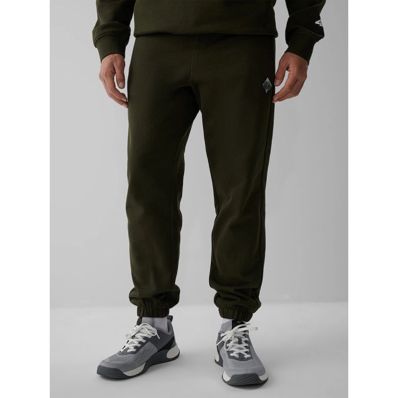 Men's jogger sweatpants 4F 4FRAW26TTROM2092-43S