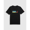 Men's regular printed T-shirt 4F 4FWSS26TTSHM3335-20S 4f