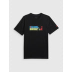 Men's regular printed T-shirt 4F 4FWSS26TTSHM3335-20S 4f