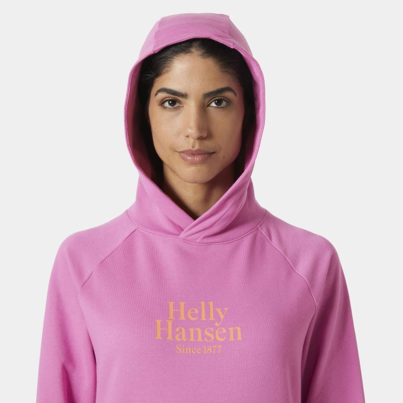 Helly Hansen Core Graphic Hoodie W 54239 089 Clothing/Outdoor/Helly Hansen Your Sports Performance