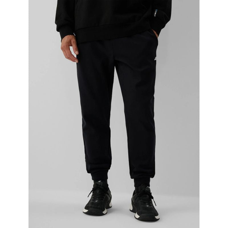 Men's jogger sweatpants 4F 4FRAW26TTROM2175-20S