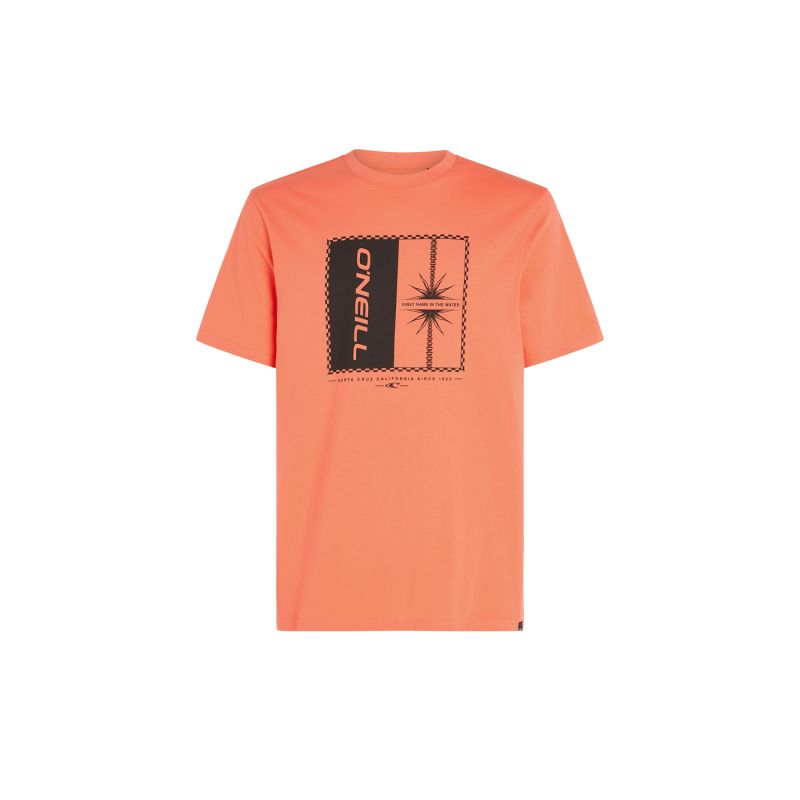 O'Neill Mix & Match Palm T-Shirt M 92800613905 ONeill