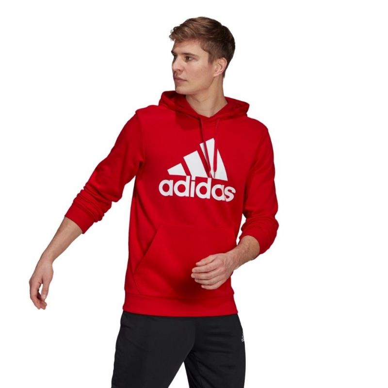 Sweatshirt adidas Essentials Big Logo M GV0249 Clothing/Lifestyle Adidas