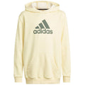 Adidas Badge of Sport Hoodie Jr HN8469 Clothing/Lifestyle Adidas