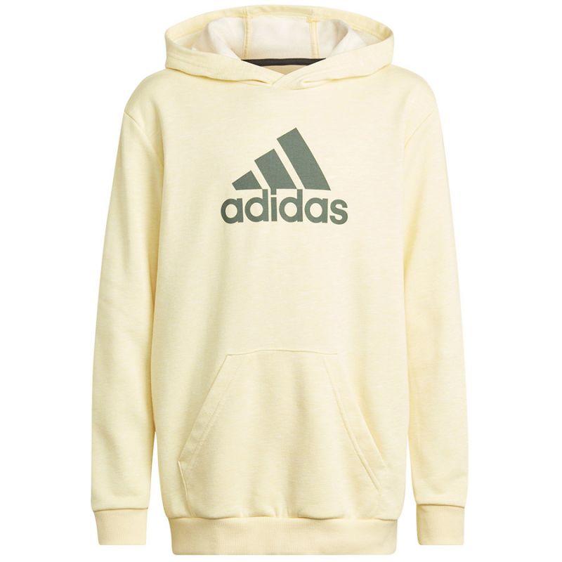 Adidas Badge of Sport Hoodie Jr HN8469 Clothing/Lifestyle Adidas