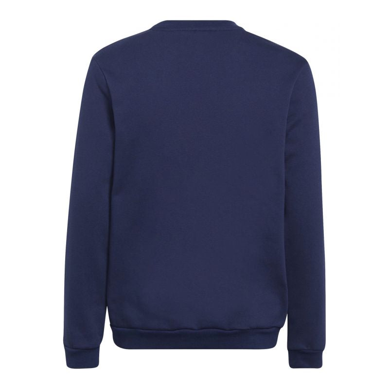 Sweatshirt adidas Entrada 22 Hoody Jr H57568 Clothing/Football Adidas