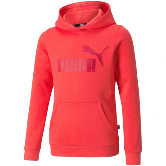 Puma ESS Logo Hoodie FL Jr 587031 35 Clothing/Training Puma