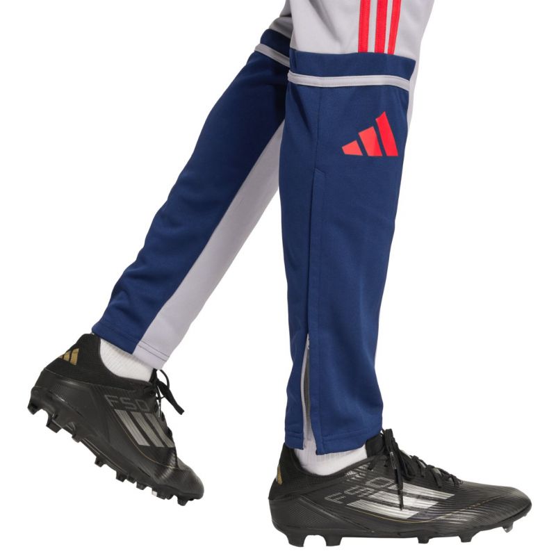 adidas Squadra 25 Training M JP3372 Pants Clothing/Football Adidas