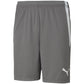 Puma teamLIGA M 704924 13 shorts Clothing/Training Your Sports Performance