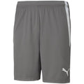 Puma teamLIGA M 704924 13 shorts Clothing/Training Your Sports Performance