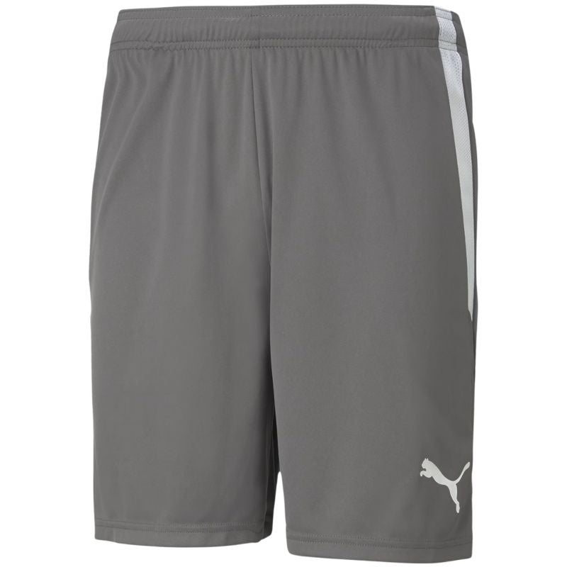 Puma teamLIGA M 704924 13 shorts Clothing/Training Your Sports Performance