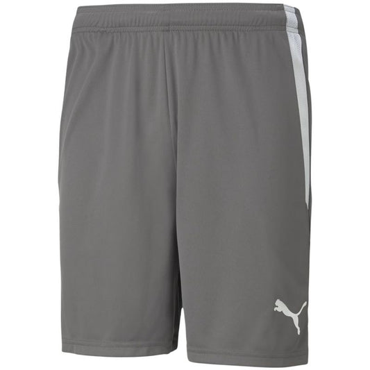 Puma teamLIGA M 704924 13 shorts Clothing/Training Your Sports Performance