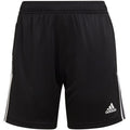 Adidas Condivo 22 Training W shorts HI6074 Clothing/Training Adidas