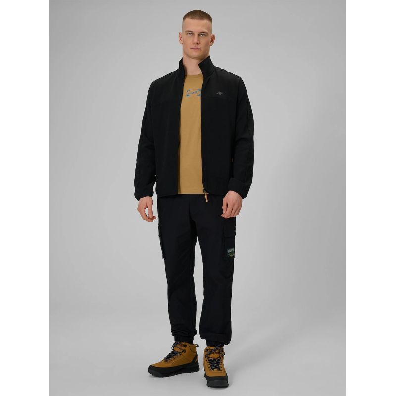 Men's casual cargo pants 4F 4FRAW25TTROM1690-20S 4f