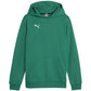 Puma Team Goal Casuals Hoddy Jr sweatshirt 658619 05 Clothing/Training Puma