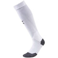Puma Team Liga football tights 703438 04 Clothing/Football Puma