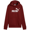 Puma ESS Logo Hoodie FL W 586789 13 Clothing/Training Puma