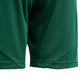 Adidas Tiro 24 Jr IT2409 shorts Clothing/Football Adidas