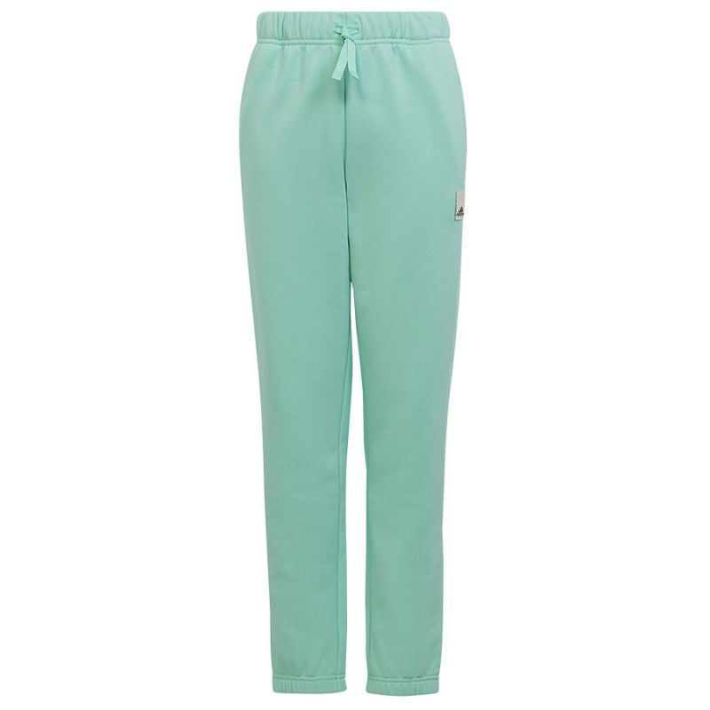 Tracksuit adidas Cotton Hoodie TS Jr. HR5840 Clothing/Lifestyle Adidas