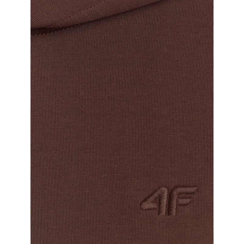 Women's regular hooded sweatshirt 4F 4FRSS26TSWSF2926-80S