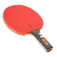 Giant Dragon 7★ N8072 Table Tennis Racket Accessories/Rackets and accessories Your Sports Performance