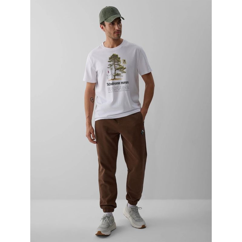Men's jogger sweatpants 4F 4FRAW26TTROM2092-81S