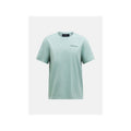 PEAK PERFORMANCE M Original Small Logo Tee, green