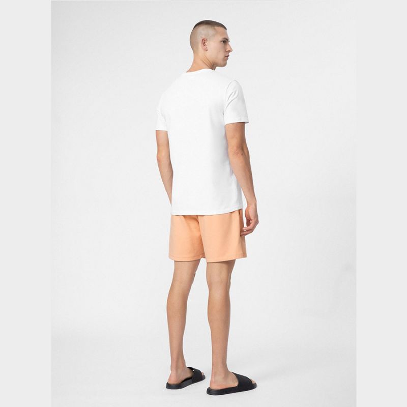Shorts 4F M 4FSS23TSHOM074 64S Clothing/Lifestyle/Trousers, shorts/4F 4F