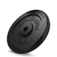 Cast iron weight 1.25kg Spokey Sinis SPK-944482 Accessories/Training equipment Your Sports Performance