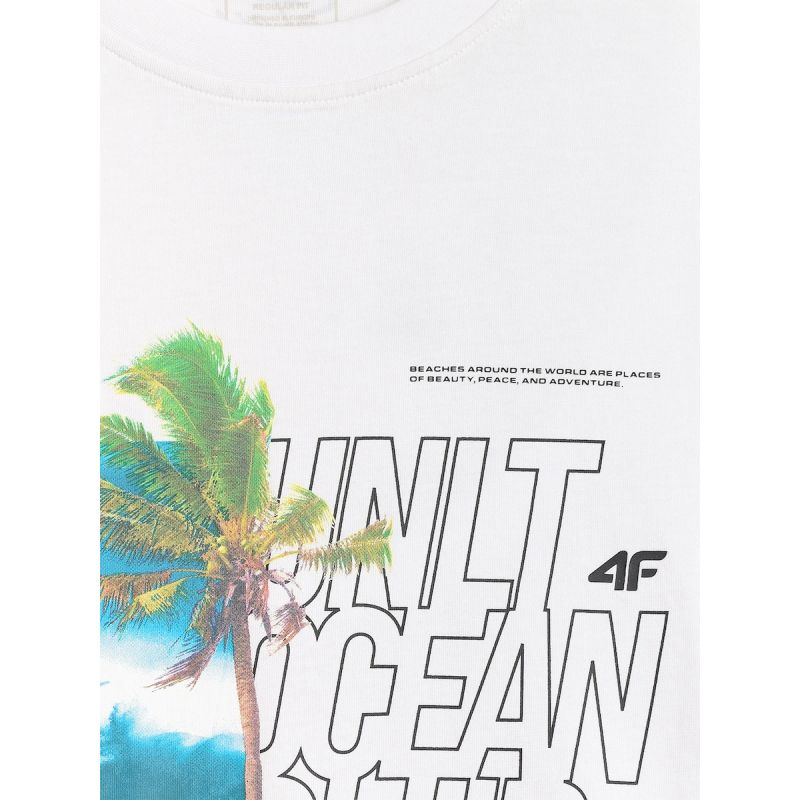 Men's regular printed T-shirt 4F 4FRSS26TTSHM4303-10S 4f