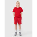 Boys' sweatpants 4F 4FJWSS25TSHOM627-62S 4f
