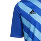 T-shirt adidas Entrada 22 Graphic Jersey Jr HF0130 Clothing/Training Adidas