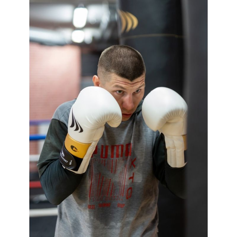 Boxing gloves Yakmaspor lion 12 oz 10034212OZ Accessories/Gloves Your Sports Performance