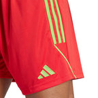 Shorts adidas Tiro 23 League M IB8090 Clothing/Football Adidas
