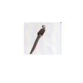 Trunk securing strap In preparation Your Sports Performance